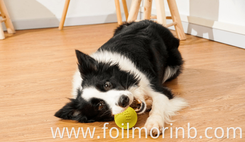 Rubber Balls For Puppy Dog